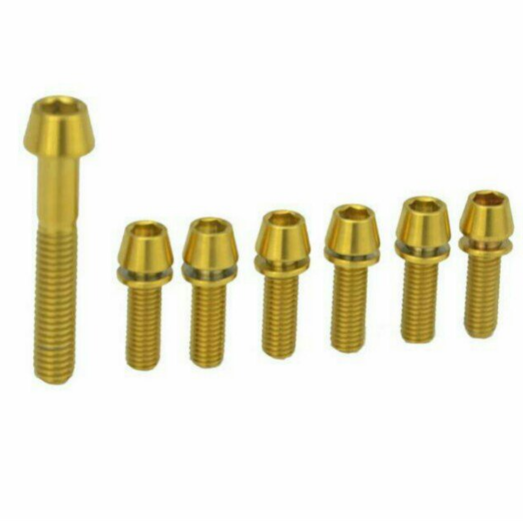 Gold 2024 stem bolts