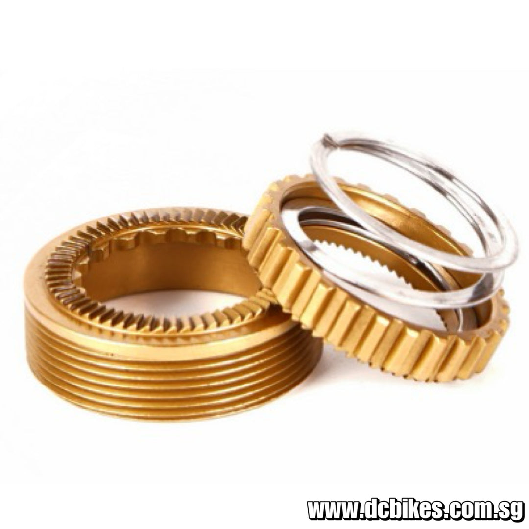 18T | 36T | 54T | 60T Star Ratchet Service Kit SL For DT Hubs