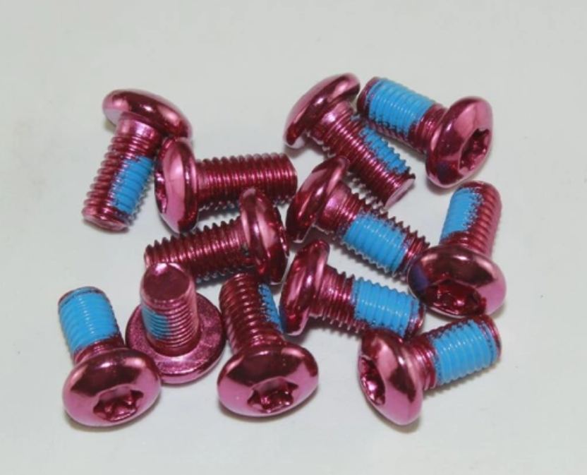 T25 Anodized Bicycle Disc Brakes Rotor Bolts (12 Pieces) – Dcbikes