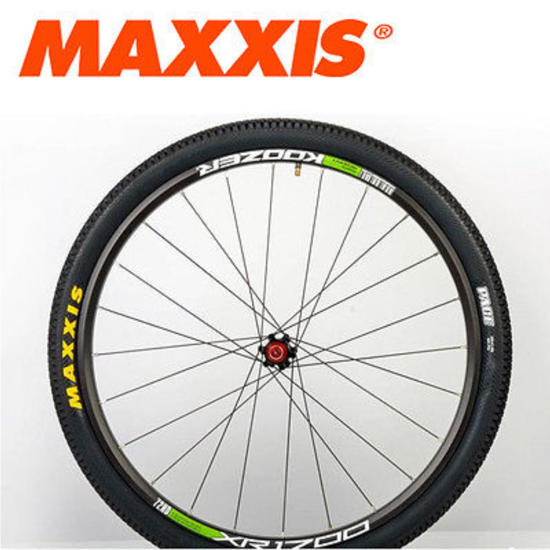 Maxxis 2024 pace 29er