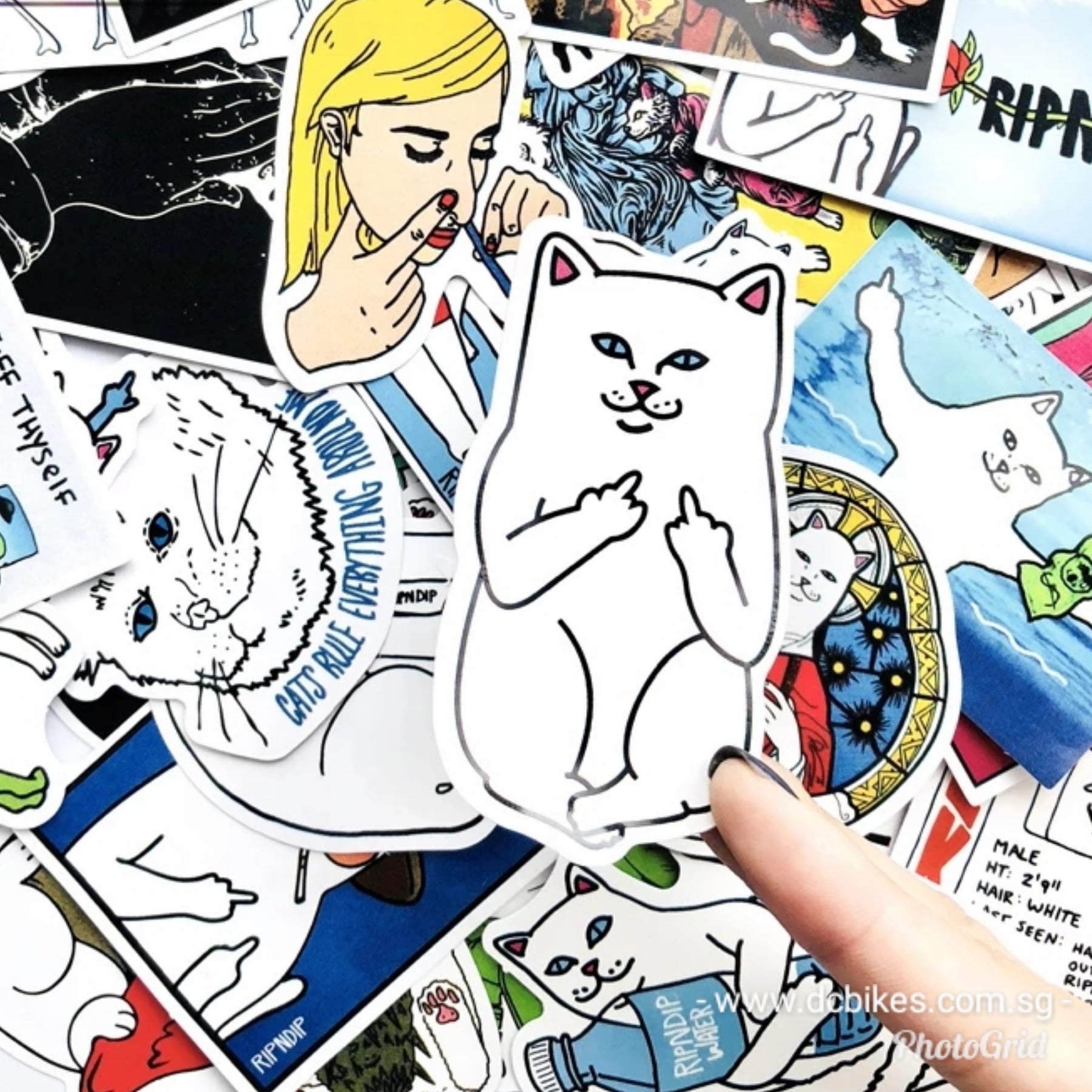 Cat With Rude Finger Sticker 50 Pieces Rip And Dip Funny Cat Middle Finger DIY Colour Random Sticke ...