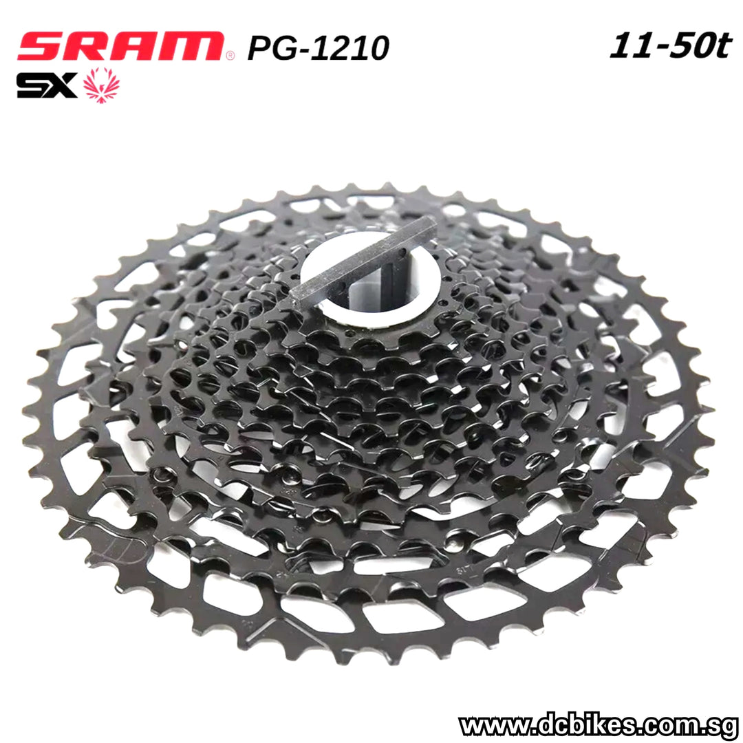 PhotoGrid_Plus_1631690315513_1